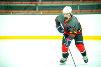 Phoenix at Chicago Tourney 011