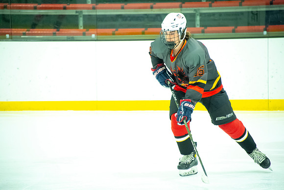 Phoenix at Chicago Tourney 009