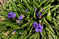 az-vacation-2013_010_9088470731_o