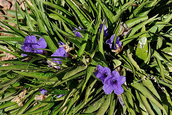 az-vacation-2013_010_9088470731_o