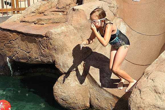 az-vacation-2013_134_9089279397_o