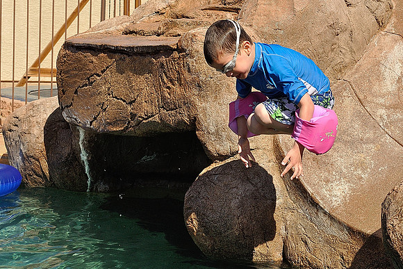 az-vacation-2013_145_9089347469_o