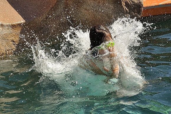 az-vacation-2013_156_9089389907_o