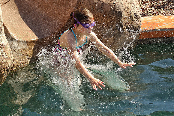 az-vacation-2013_158_9089399981_o