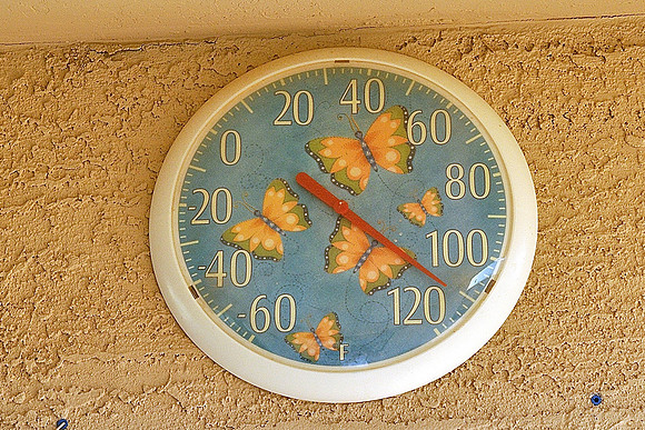 az-vacation-2013_163_9090628482_o