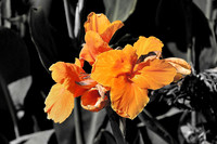 az-vacation-2013_004_9088431079_o