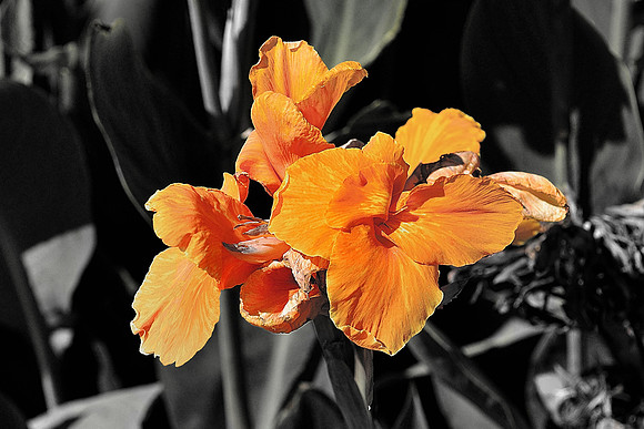 az-vacation-2013_004_9088431079_o