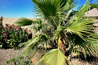 az-vacation-2013_002_9090645526_o