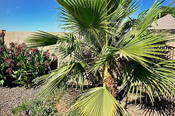 az-vacation-2013_002_9090645526_o