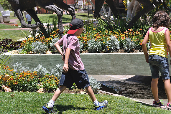 az-vacation-2013_244_9167977087_o