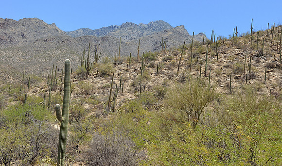az-vacation-2013_258_9168078709_o