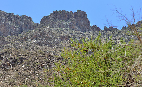 az-vacation-2013_272_9170406492_o