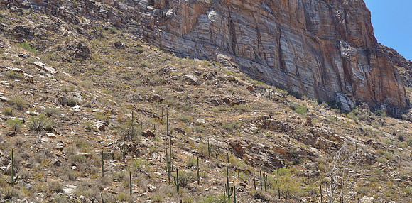 az-vacation-2013_276_9168216905_o