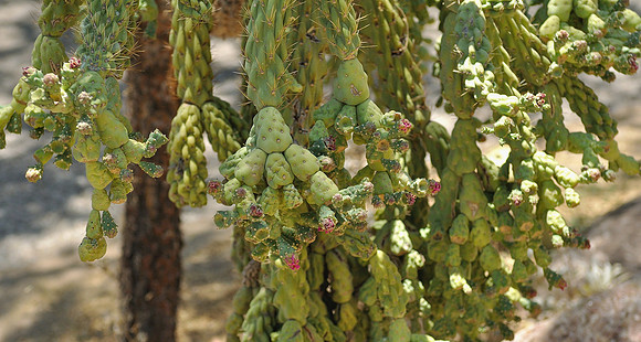 az-vacation-2013_289_9170535568_o
