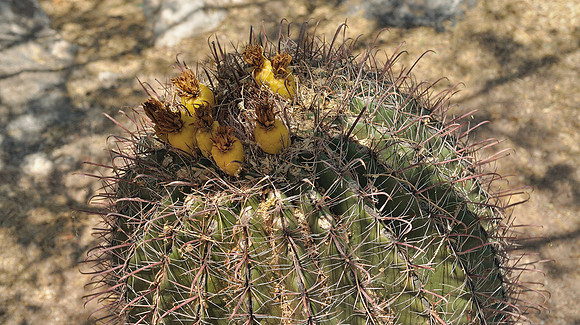 az-vacation-2013_288_9170528488_o