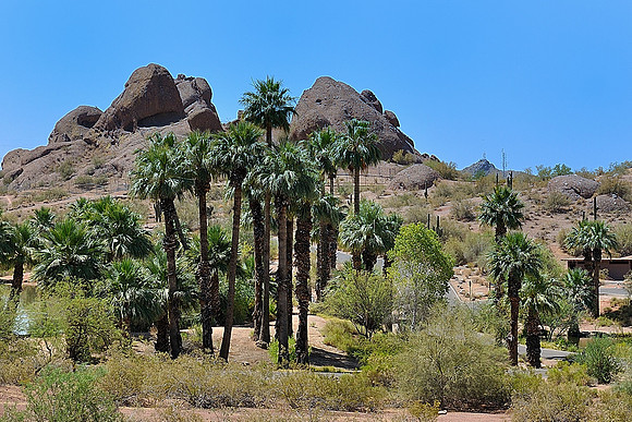 az-vacation-2013_172_9169607288_o