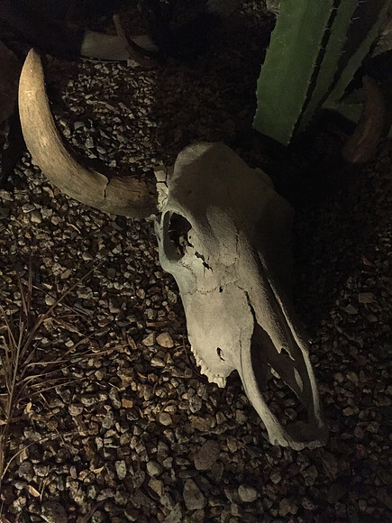2017-arizona-vacation_35927889993_o