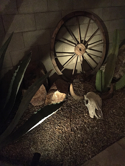 2017-arizona-vacation_36341517380_o