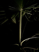 2017-arizona-vacation_35903029994_o