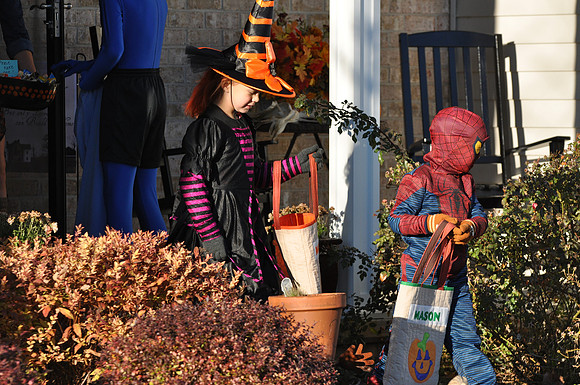 DSC_2384