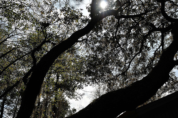 hilton-head-2013_017_8669116245_o