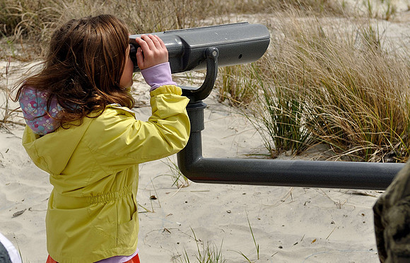 hilton-head-2013_062_8669140693_o
