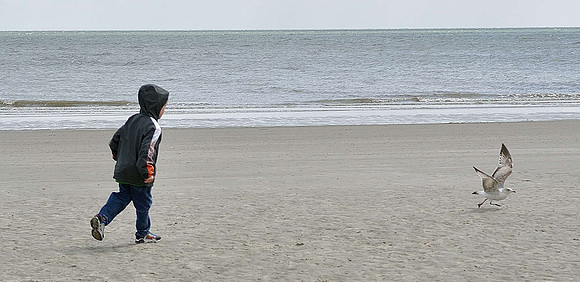 hilton-head-2013_066_8669142577_o