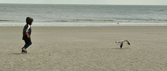 hilton-head-2013_067_8670246272_o