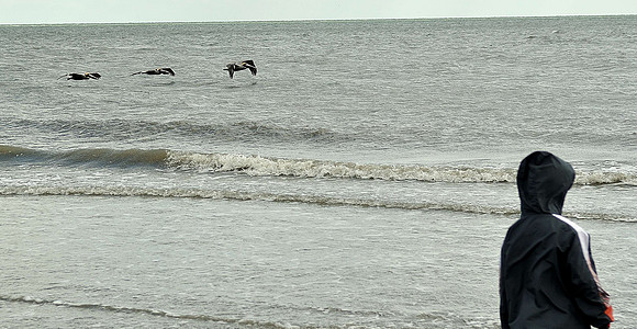 hilton-head-2013_073_8669145227_o