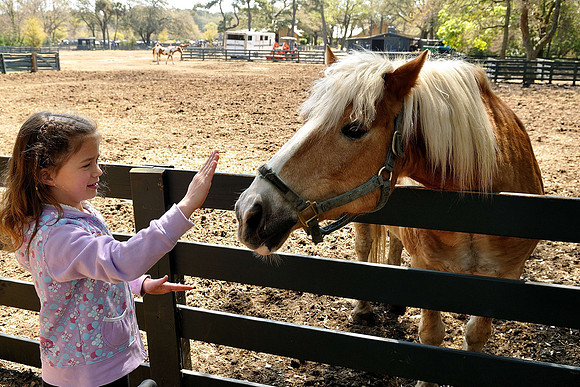 hilton-head-2013_095_8669161053_o