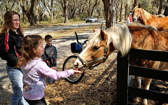 hilton-head-2013_106_8670272798_o
