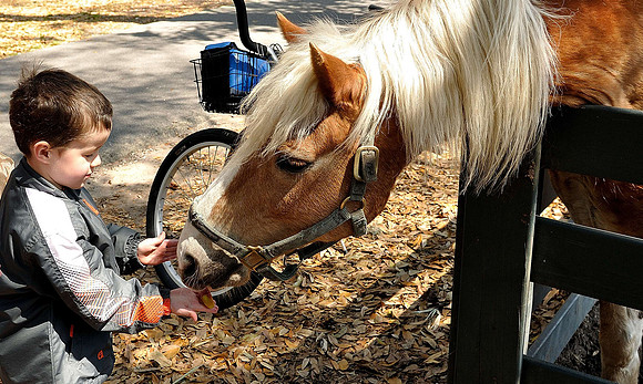 hilton-head-2013_110_8670275484_o
