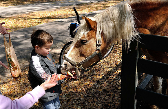 hilton-head-2013_111_8670275964_o
