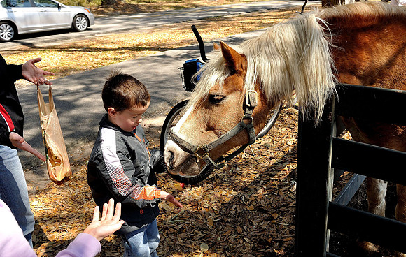 hilton-head-2013_112_8669173823_o
