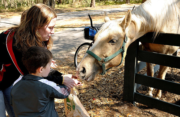 hilton-head-2013_122_8669252981_o