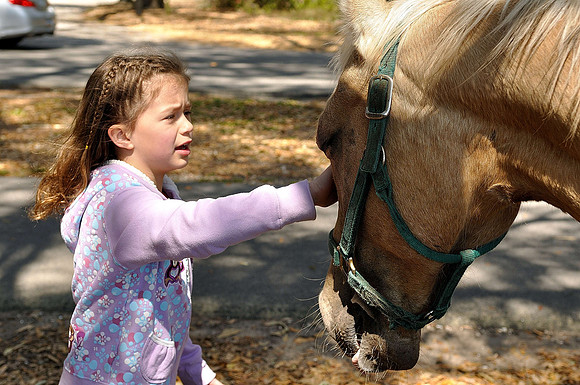 hilton-head-2013_125_8669255417_o