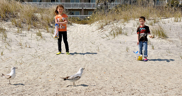 hilton-head-2013_170_8669366687_o