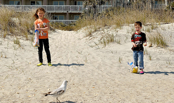 hilton-head-2013_171_8669367235_o