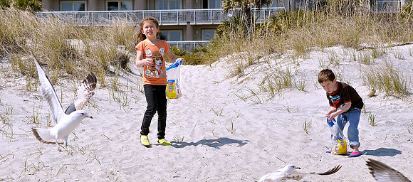hilton-head-2013_173_8670471358_o