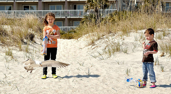 hilton-head-2013_174_8669368903_o