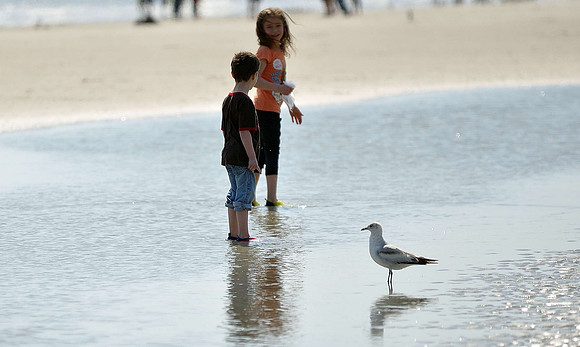 hilton-head-2013_209_8669901545_o
