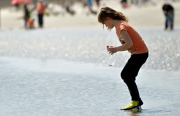 hilton-head-2013_208_8671003286_o