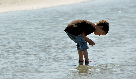 hilton-head-2013_213_8671004476_o