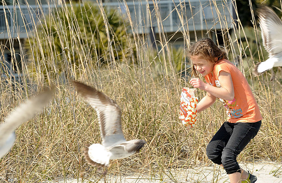 hilton-head-2013_262_8669920593_o