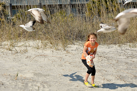 hilton-head-2013_258_8671020790_o