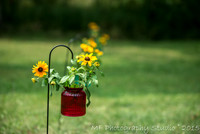 kat__trauma_wedding_002_21221312045_o
