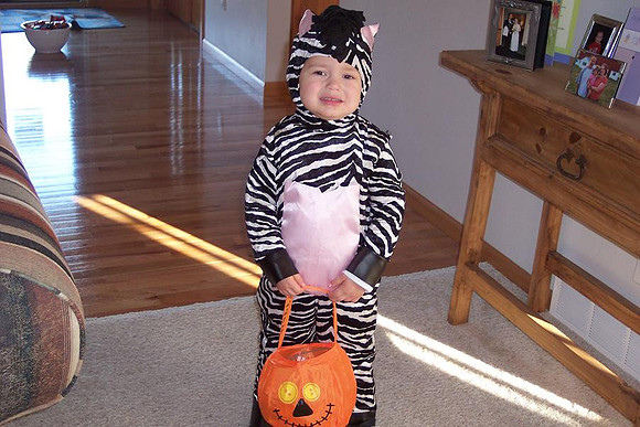 The Zebra 2