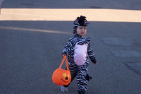 Zebra on a mission