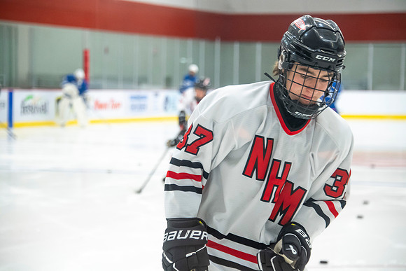 NHM VR 017