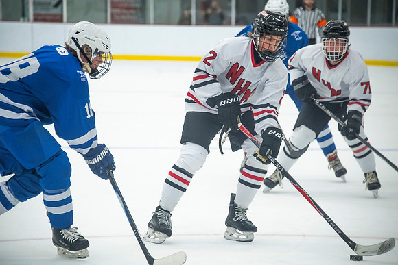 NHM VR 296